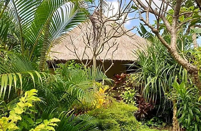 Calming 3br Private Pool In Ubud Villa *