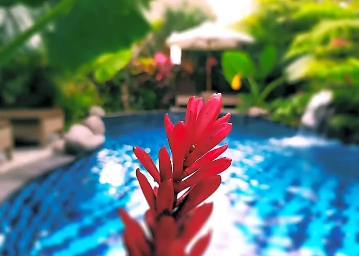 Calming 3br Private Pool In Ubud Villa