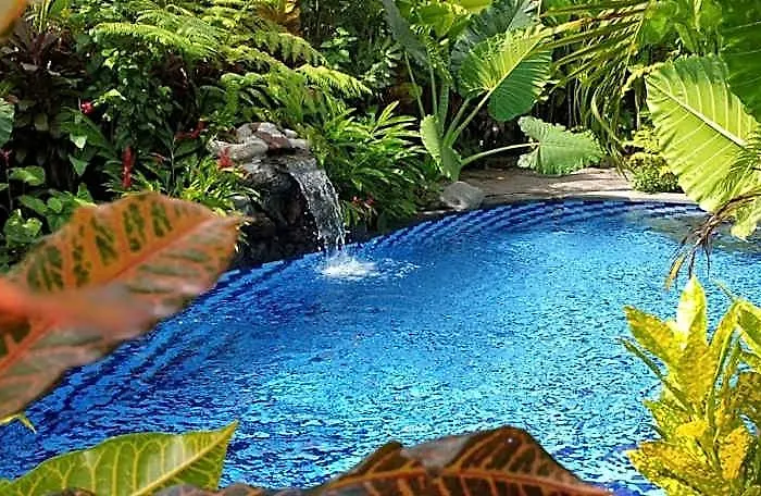 Calming 3br Private Pool In Ubud Villa Mekar Bhuwana